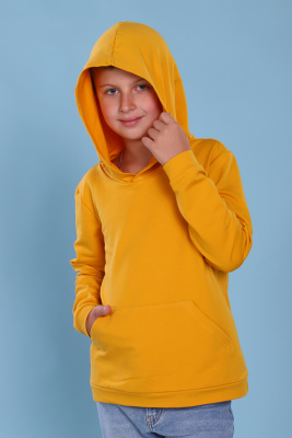 b00fe2fd-1f08-44df-8161-bec4455d46ef