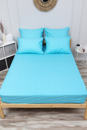 581ee995-0663-48f6-a459-cd27d3a39523